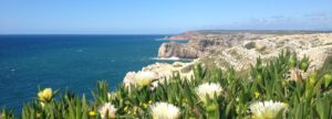 Read more about the article Sagres
