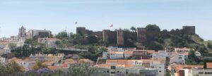 Read more about the article Silves