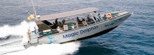 Dolphin Search mit großem Speedboot