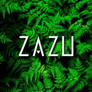 Zazu