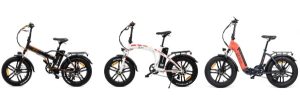 E-Bike Anmietung