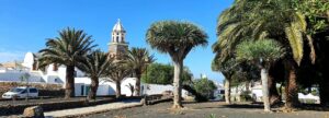 Read more about the article Teguise