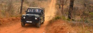Jeep-Safari